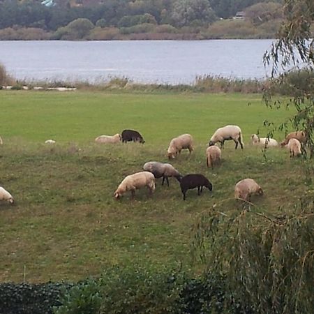 Elbe-Ferien 2 Leilighet Tespe Eksteriør bilde