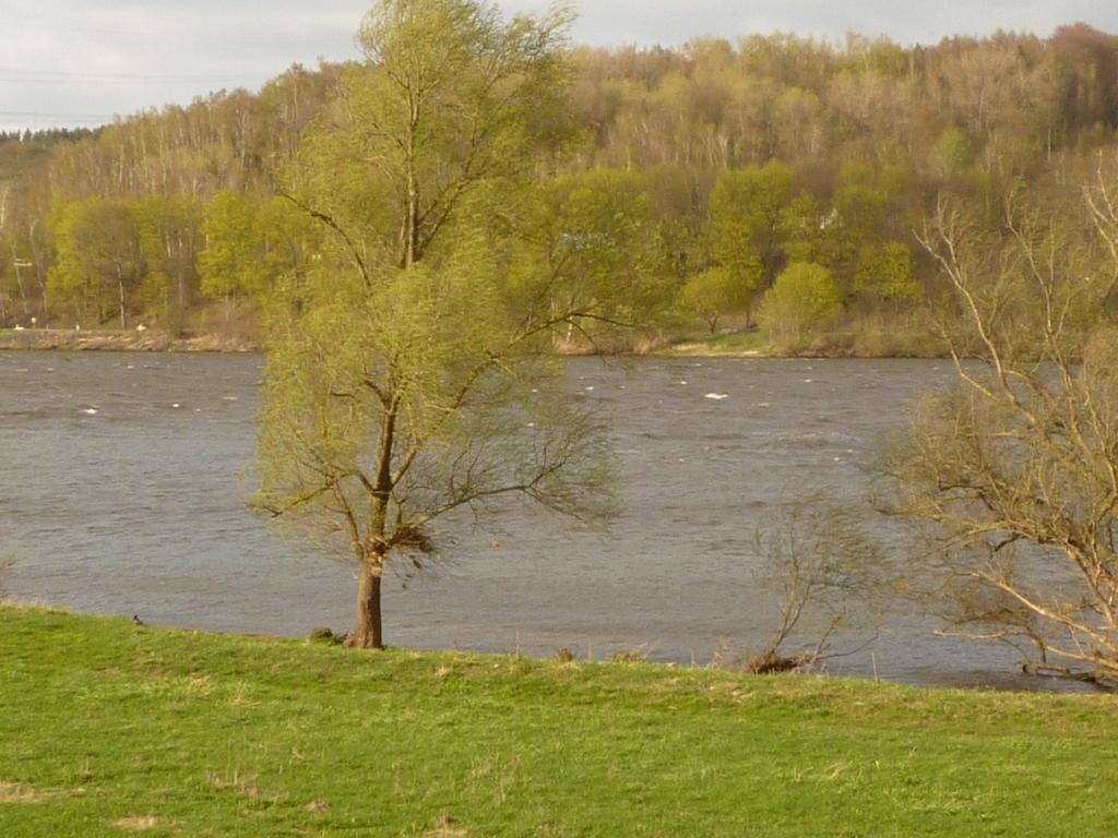 Elbe-Ferien 2 Leilighet Tespe Rom bilde